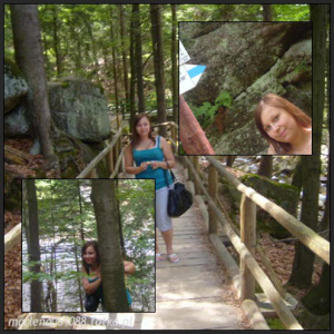 leisure, forest, jungle