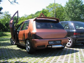 Tył Clio 2005 rok foto ze ztotu Borki 2005 :) Pierwsze miejsce za styl :)
