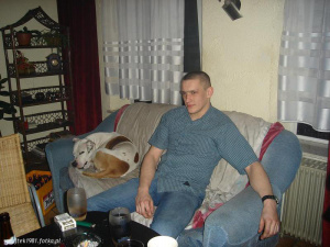sitting, dog