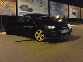 Zdjęcie 35402996