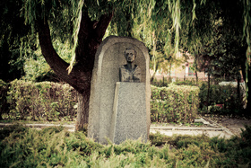 Zdjęcie 35413424