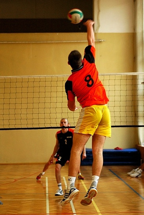 Zdjęcie 36684713