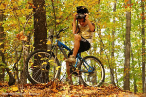 forest, vehicle, sports, bicycle, cycling