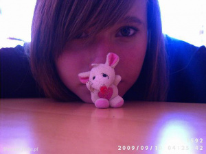 toy, stuffed-toy, plush