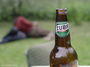 tableware, alcohol
