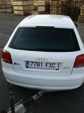 Zdjęcie 38067680