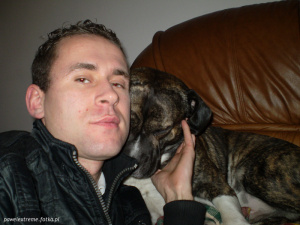 jacket, dog, cat, pet