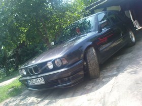 Zdjęcie 39018001