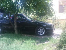 Zdjęcie 39018021