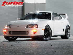 supra 5.jpeg