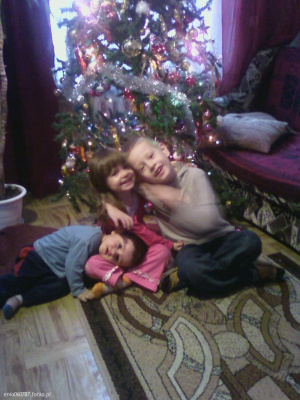 fun, christmas