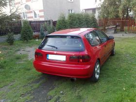 Zdjęcie 40746456