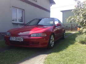 Zdjęcie 40746473