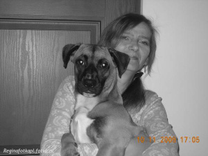 dog, pet