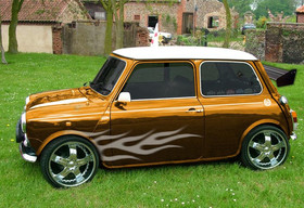 Zdjęcie 41369850