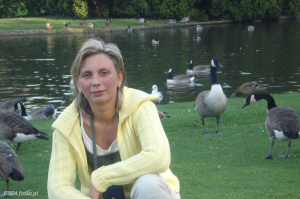 bird, duck, waterfowl