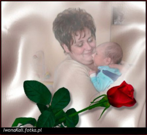 love, petal, flower