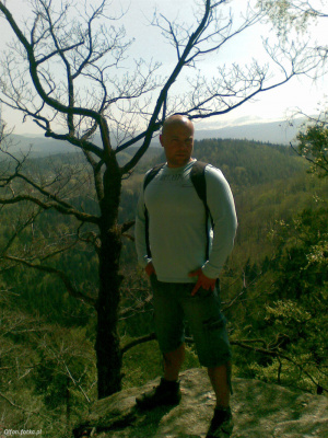 branch