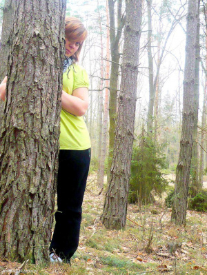 forest, trunk