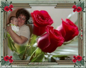 petal, plant, flower
