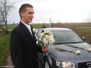 vehicle, car, groom