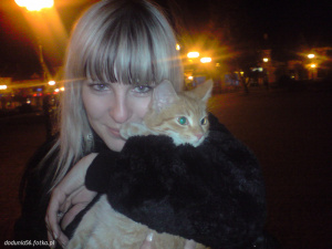 textile, fun, cool, ear, fur, cat