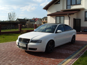 Zdjęcie 47854845