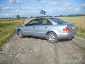 Zdjęcie 48482815