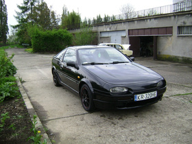 Zdjęcie 48615127