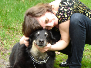 dog, pet