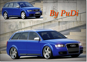 Audi Pudi