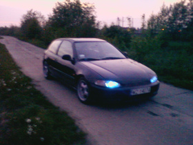 Zdjęcie 48989391