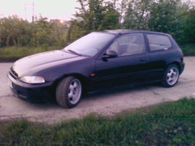 Zdjęcie 48989460
