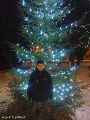 christmas, event