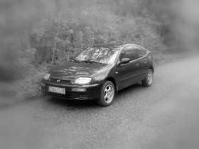 Zdjęcie 49380949
