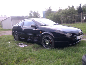 Zdjęcie 49857258