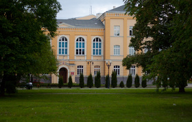 Zdjęcie 49860259