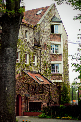 Zdjęcie 49860305