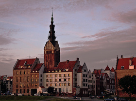 Zdjęcie 49860328