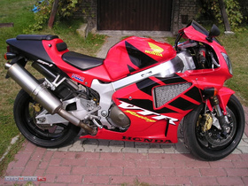 Zdjęcie 50046633