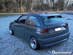 Zdjęcie 50052731