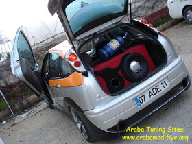 Zdjęcie 50063375