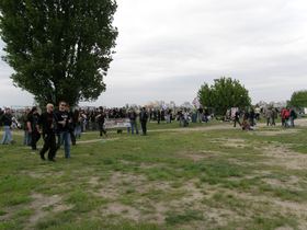 Zdjęcie 50151574