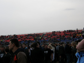 Zdjęcie 50151646
