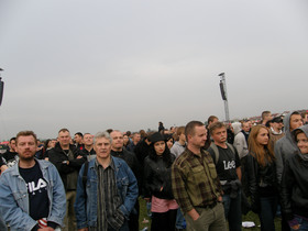 Zdjęcie 50151653