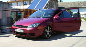 Zdjęcie 50165306