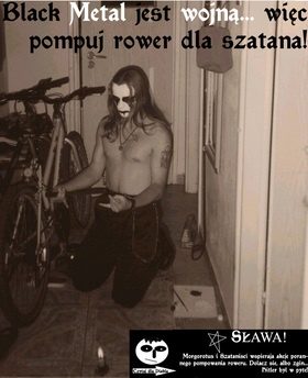 Zdjęcie 50304277