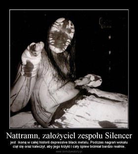 Zdjęcie 50707626