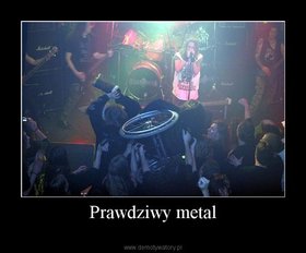 Zdjęcie 50707630