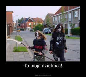 Zdjęcie 50707656